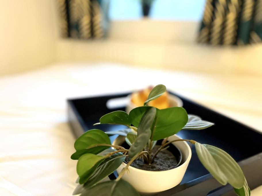 Casa de Férias Modern 2 Bed Close To Mall With Parking & Garden